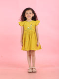 Girls Embroidered Cotton Ethnic Dress