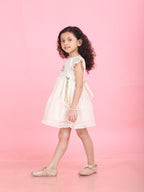 Girls Embroidered Cotton Ethnic Dress