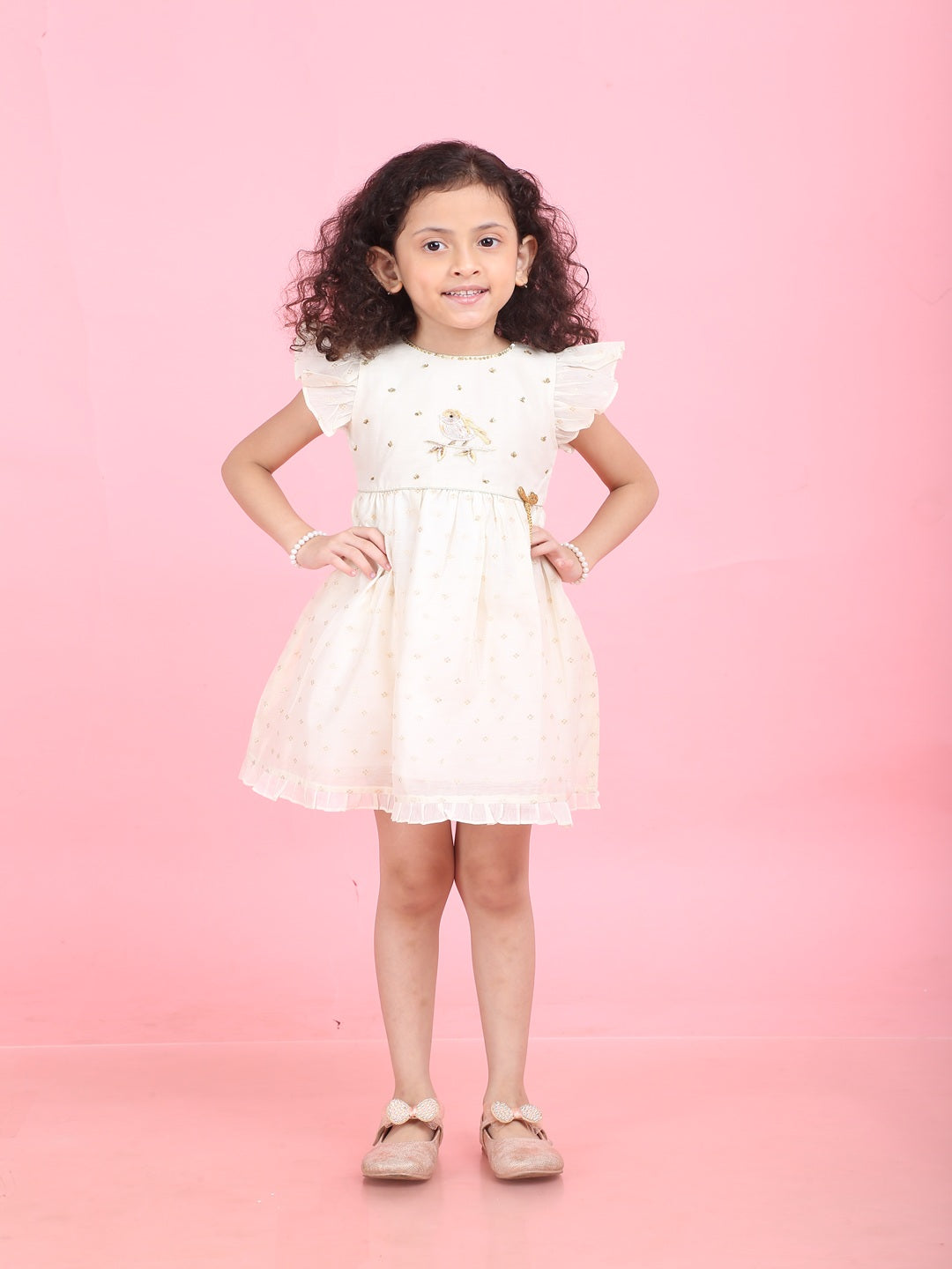 Girls Embroidered Cotton Ethnic Dress